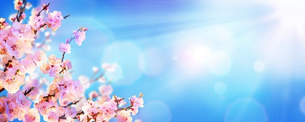 戰(zhàn)疫情，北京韋林公司全體員工齊心協(xié)力共克時艱！
