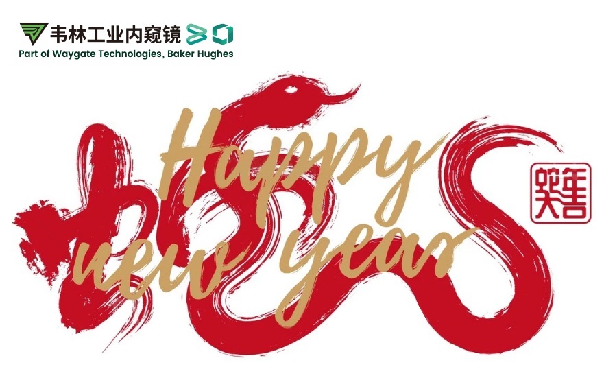 韋林公司祝您：蛇年大吉,福滿(mǎn)乾坤！
